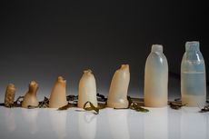 Biodegradable Algae Bottles Article Thubnail