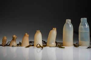 Biodegradable Algae Bottles Article Thubnail