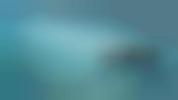 Offshore Wind Farms
