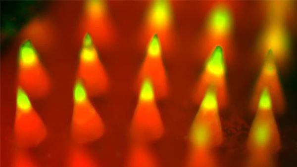 Tumor-Neutralizing Patches Image 2