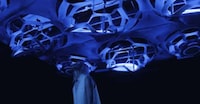 Motion-Activated Ceilings Image 2