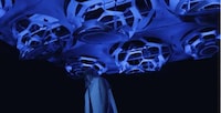 Motion-Activated Ceilings Image 5