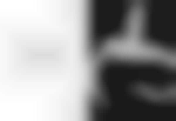 Elegantly Grayscale Fashion Ads