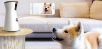 Treat-Dispensing Pet Cameras Image 2