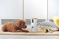 Treat-Dispensing Pet Cameras Image 3