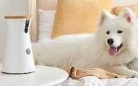 Treat-Dispensing Pet Cameras Image 5