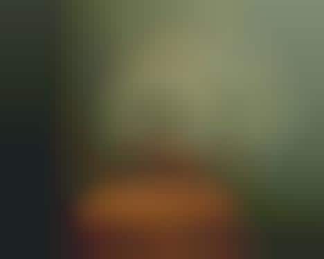 Faceless Feminine Portraits
