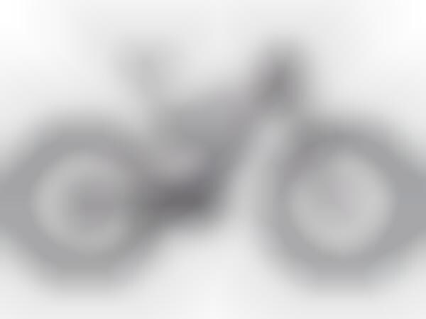 Rugged Speedy Smart Cycles