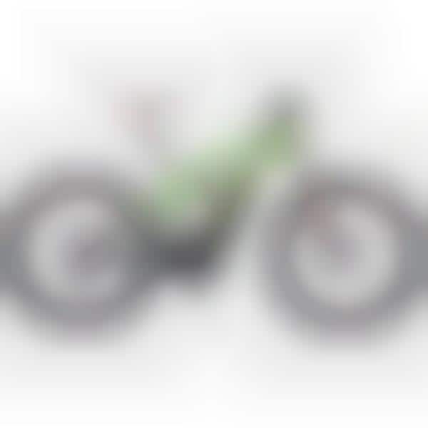 Enhanced Electric Mountain Bikes