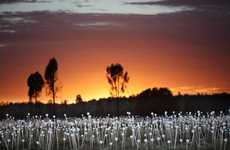 Luminous Desert Installations