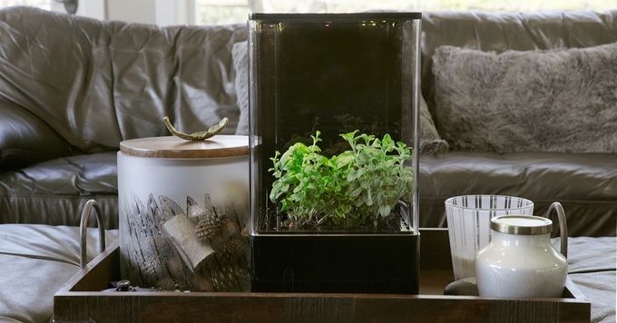 Smartphone-Controlled Greenhouses