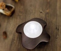 Sculptural Ionizing Devices Image 3