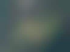 Pedestrian-Oriented Urban Redesigns : urban redesign