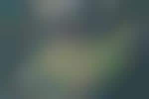 Pedestrian-Oriented Urban Redesigns : urban redesign