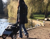 Folding Chair Scooters Image 2