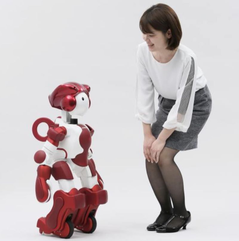 Customer Service Robots