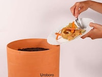 Compact Planter Composts Image 3