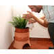 Compact Planter Composts Image 4