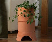 Compact Planter Composts Image 6