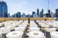 Rooftop Spirulina Farms