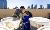 Rooftop Spirulina Farms Image 2