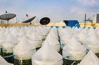 Rooftop Spirulina Farms Image 3