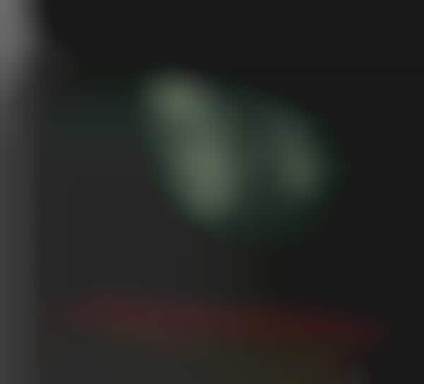 Touchscreen Music Players