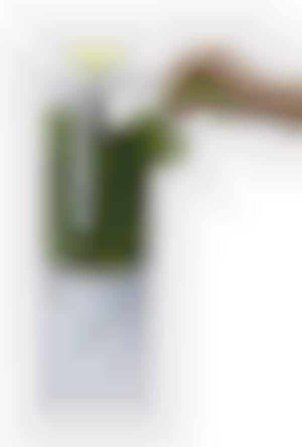 Freshness-Increasing Herb Holders