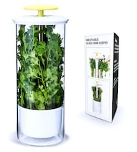 Freshness-Increasing Herb Holders Image 4