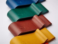 Multicolored Card Carriers Image 5