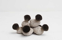 Pumice Stone Brushes Image 2