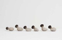 Pumice Stone Brushes Image 3