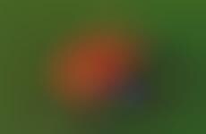 DIY Robotic Lawn Mowers