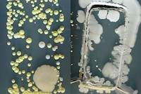 UV Smartphone Cleaners Image 5