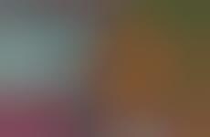 Superfood Grain Substitutes