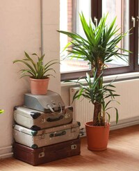 Bartering Coworking Spaces Image 3