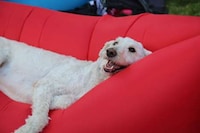 Portable Inflatable Couches Image 2