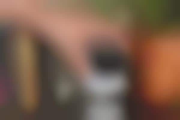 Live-Stream Wireless Cameras