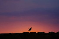 Laid-Back Californian Photography Image 2