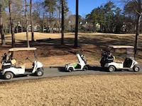 Standing Scooter Golf Carts Image 4