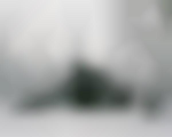 Ski Jump Cabin Designs