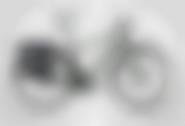 Commemorative Commuter Bikes