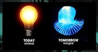 Bacteria-Powered Lighting Image 2