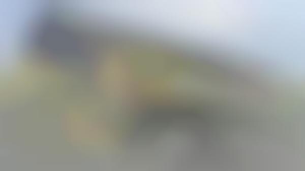 Parking Lot-Adjacent Dwellings