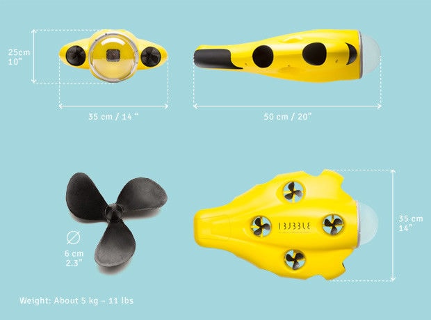Autonomous Underwater Drones