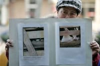 Pet Lover Protests Image 3