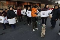 Pet Lover Protests Image 4