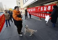 Pet Lover Protests Image 5