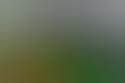 Sleuthy iPhone Apps