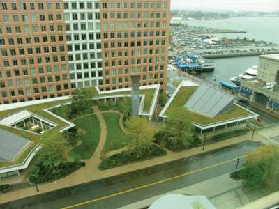 20 Options for an Eco-Friendly Green Roof